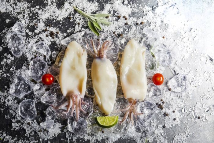 Frozen Squid