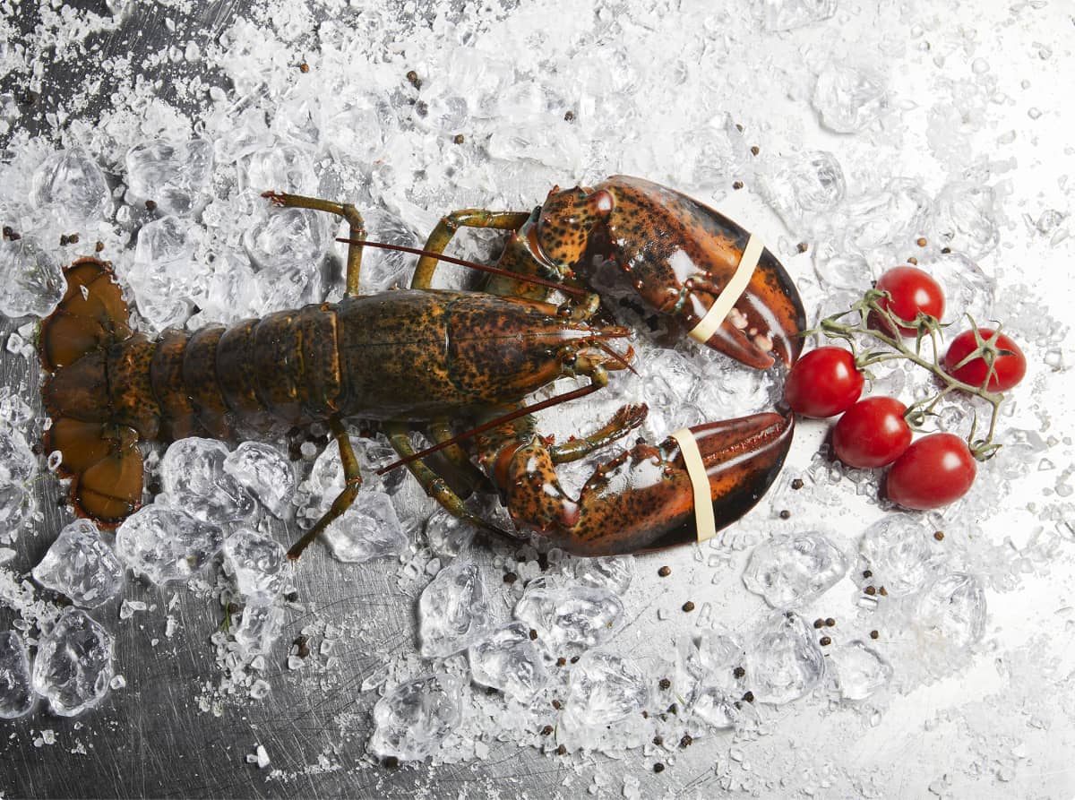 Fresh unshelled lobster