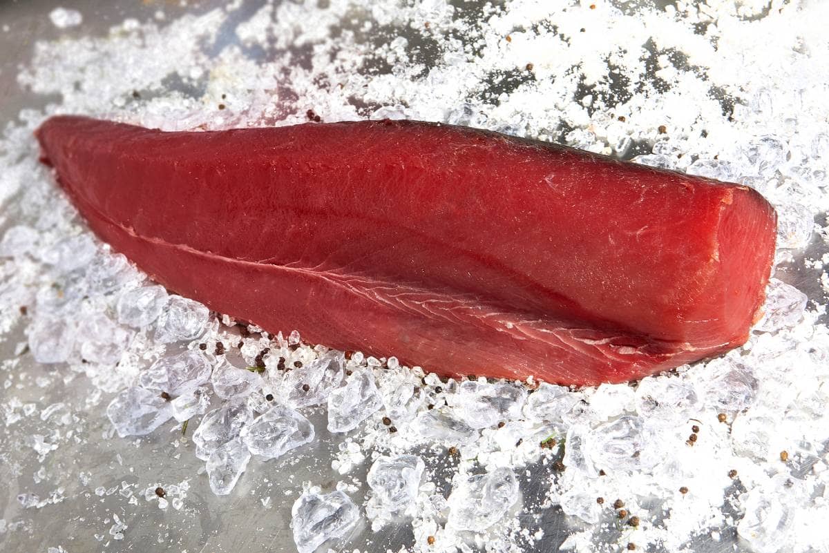 Fresh Tuna Loin Sushi Grade